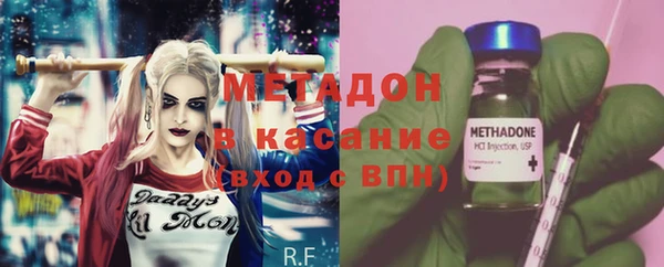 индика Елабуга