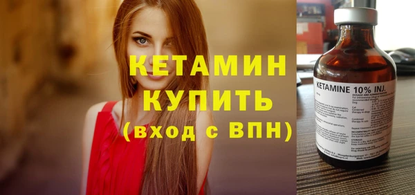 индика Елабуга