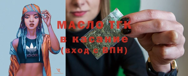 индика Елабуга