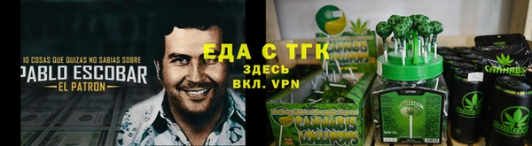 индика Елабуга