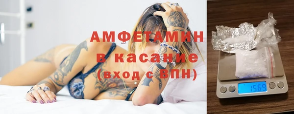индика Елабуга