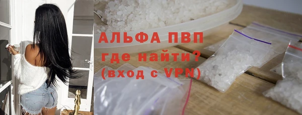 индика Елабуга