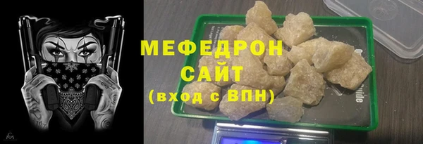 индика Елабуга