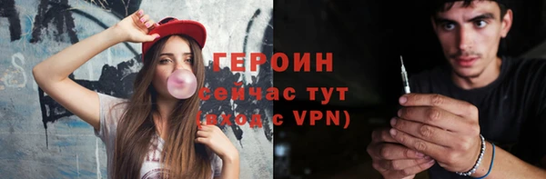 индика Елабуга