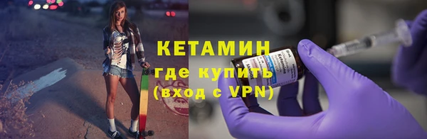 индика Елабуга