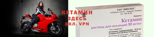 индика Елабуга