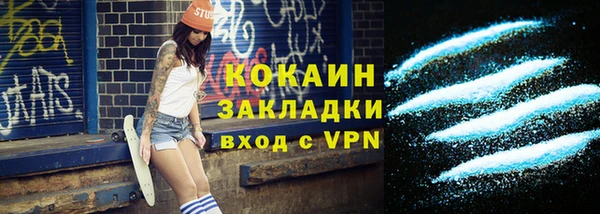 индика Елабуга