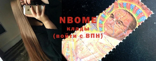 индика Елабуга