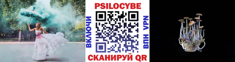 Купить закладки  Сухиничи  Псилоцибиновые грибы мицелий 